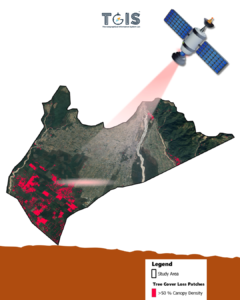 Forestry