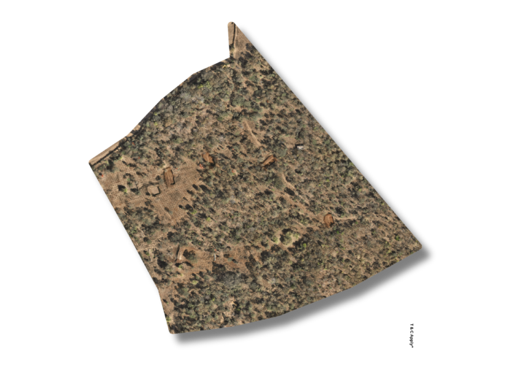 Geo-rectified Orthomosaics for Base Mapping