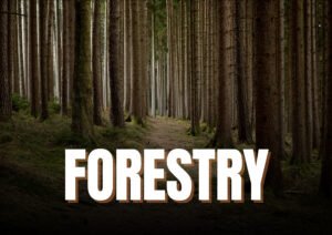 forestry