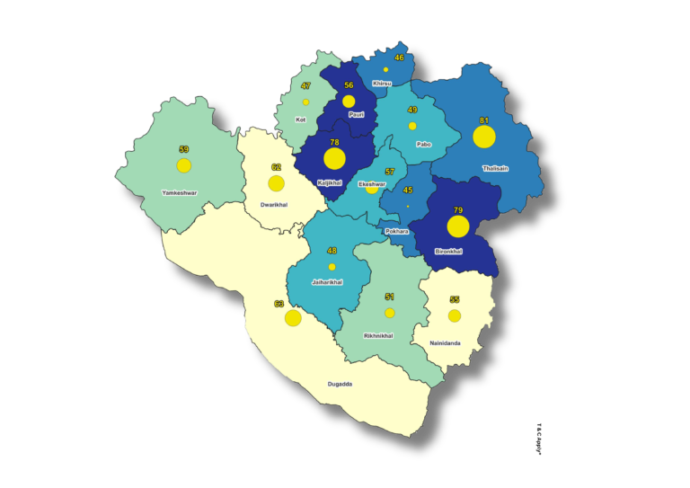 Migrant Population Mapping
