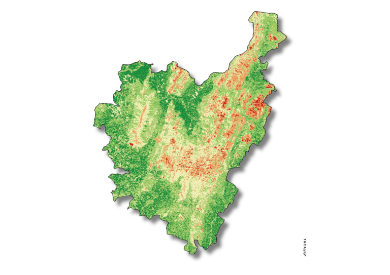 Forest Fire Analysis