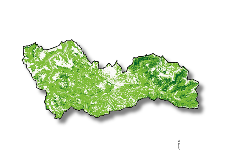 Forest Type Mapping