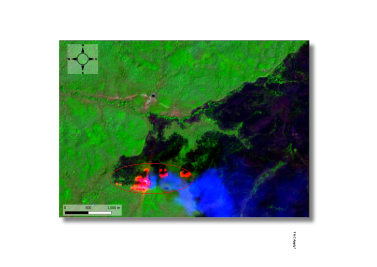 Forest Fire Burn Severity