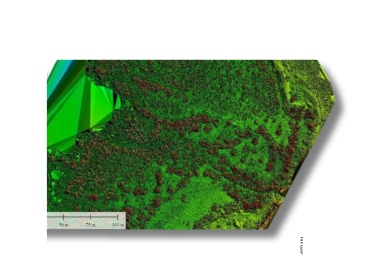 Advanced LiDAR Point Cloud Processing