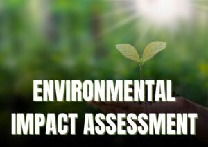 Environmental Impact Assessment